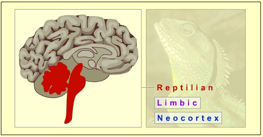 ReptilianBrain